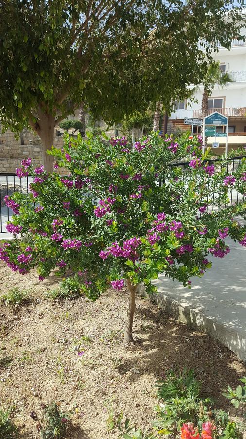 Lazaros Pissouri Apartments Exterior photo